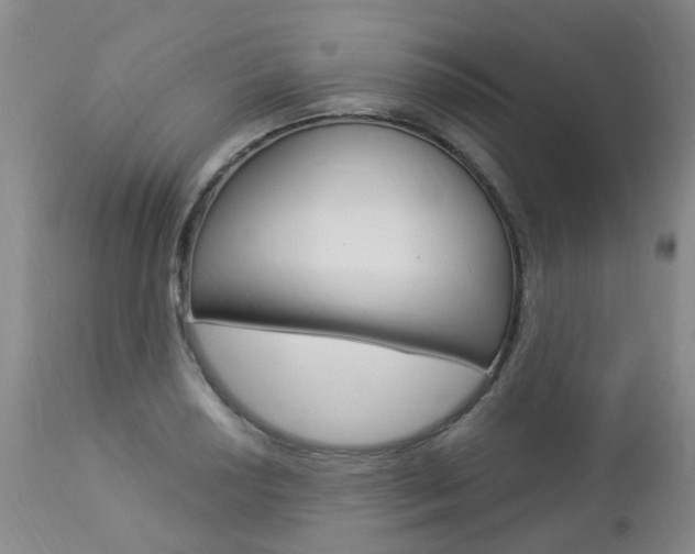X0000112861034200908211050