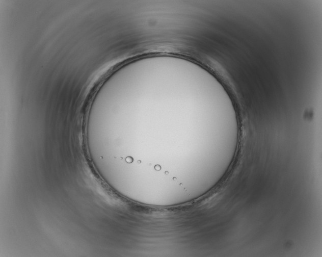X0000112861035200908211050