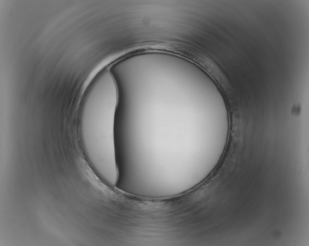 X0000112861036200908211050