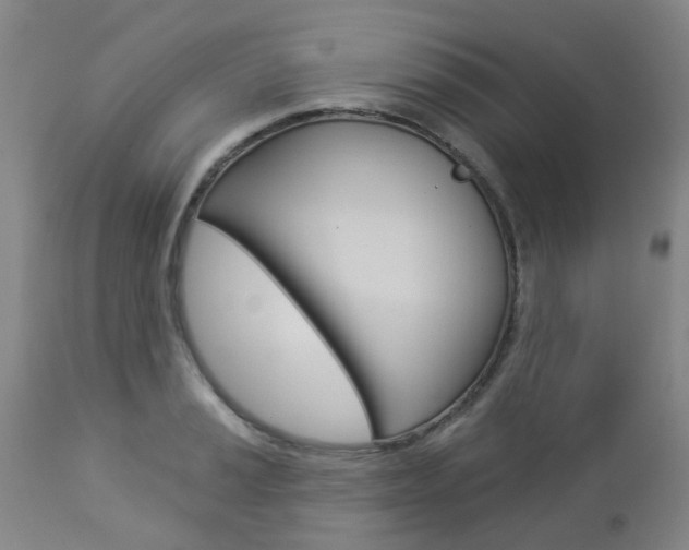 X0000112861037200908211050