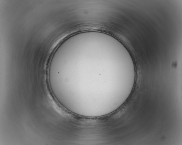 X0000112861039200908211050