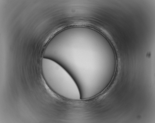 X0000112861041200908211050