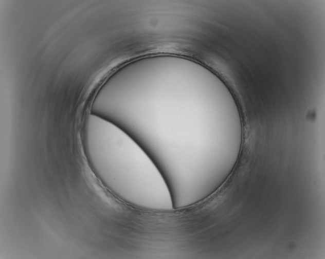 X0000112861043200908211050