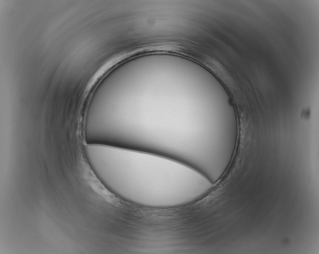 X0000112861044200908211050