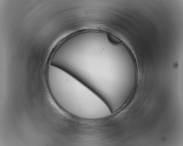X0000112861045200908211050