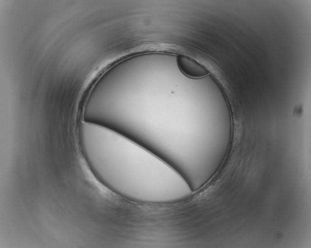 X0000112861046200908211050