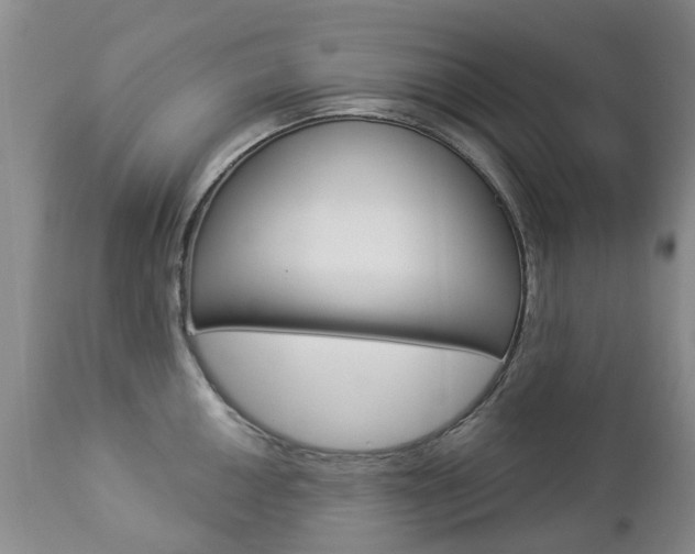 X0000112861050200908211050
