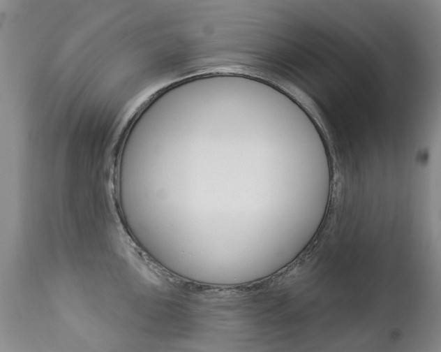 X0000112861051200908211050