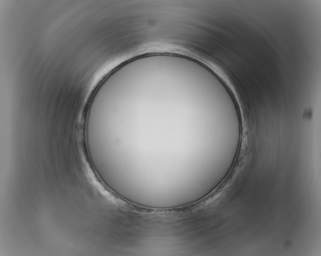 X0000112861053200908211050