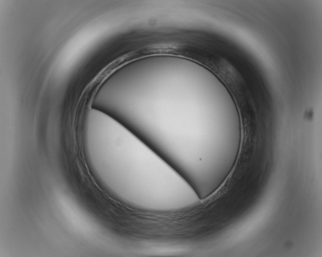X0000112861054200908211050
