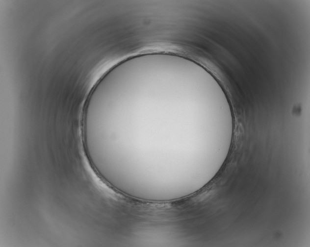 X0000112861055200908211050