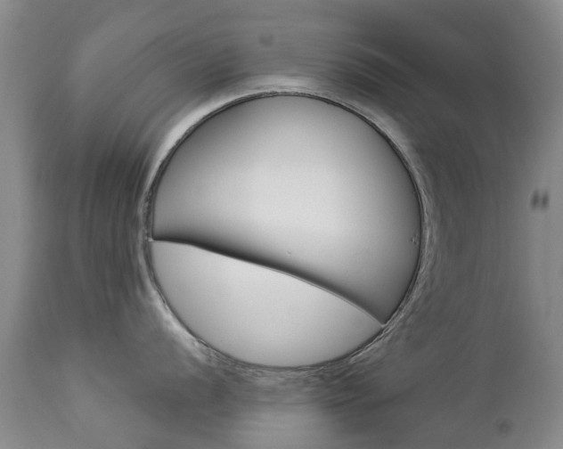 X0000112861056200908211051