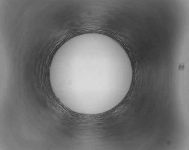 X0000112861057200908211050