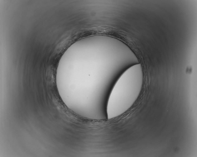 X0000112861058200908211050