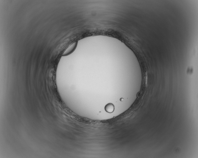 X0000112861059200908211050