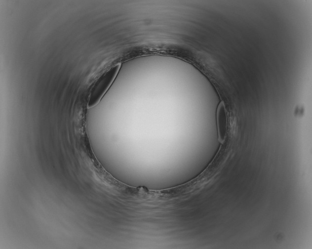 X0000112861060200908211050