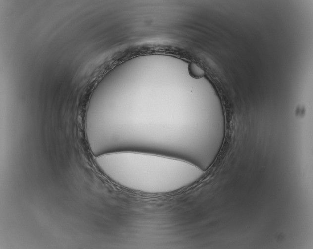 X0000112861062200908211050