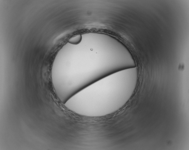 X0000112861063200908211050
