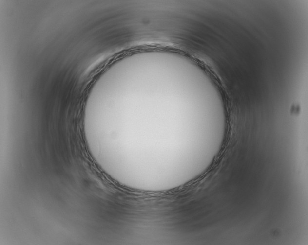 X0000112861064200908211050