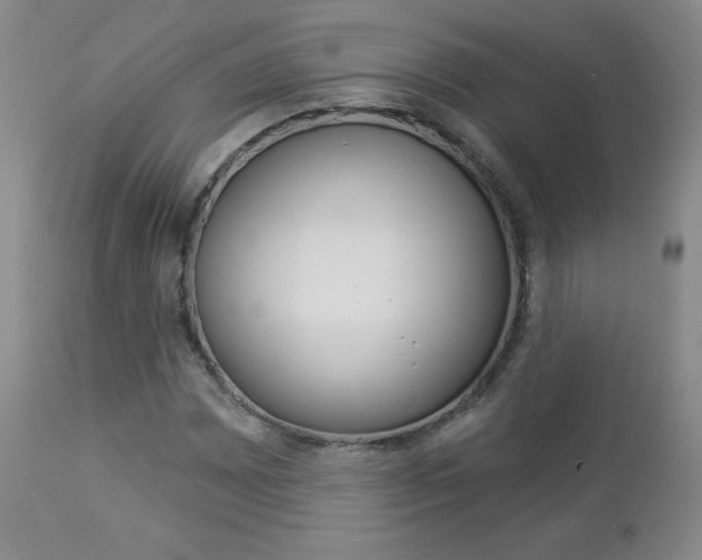 X0000112861065200908211050