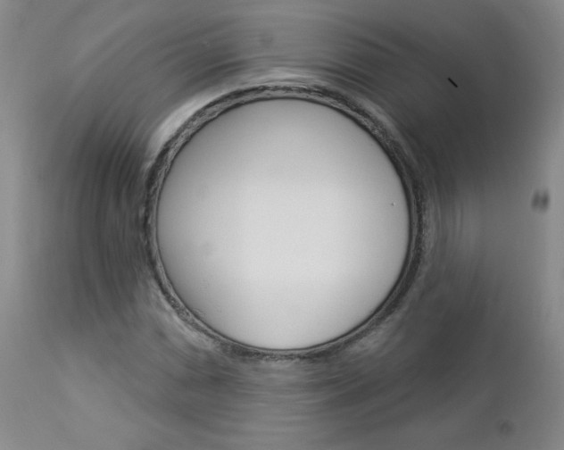 X0000112861066200908211050