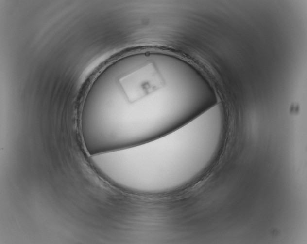 X0000112861069200908211050