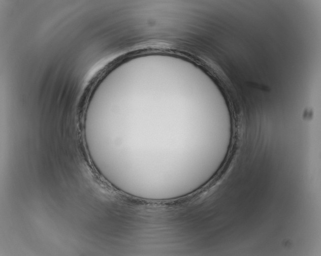 X0000112861070200908211050