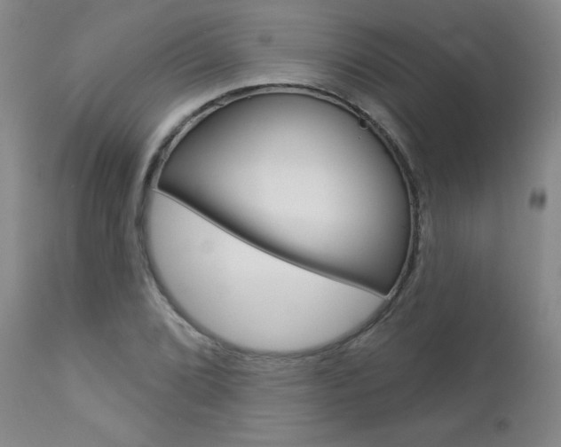 X0000112861072200908211050