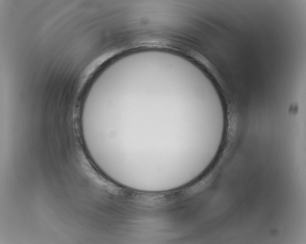 X0000112861074200908211050