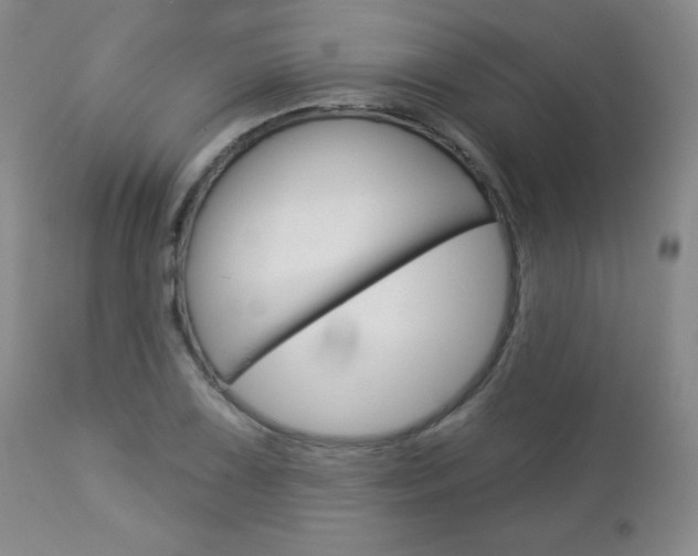 X0000112861075200908211050
