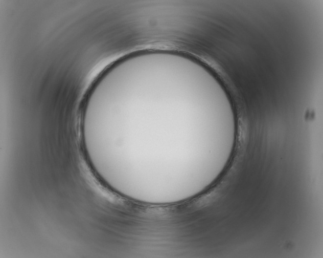 X0000112861078200908211049