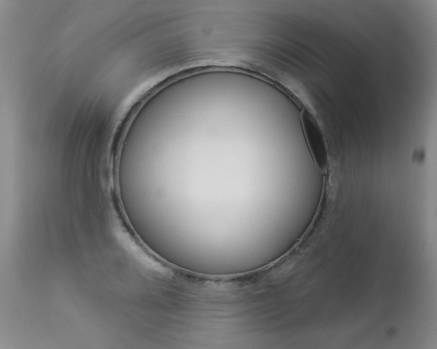 X0000112861080200908211049