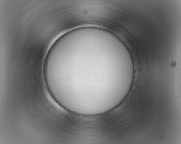 X0000112861084200908211049