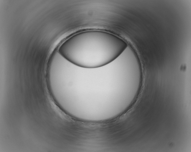 X0000112861085200908211049