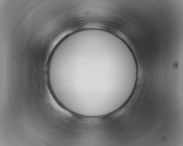 X0000112861090200908211049