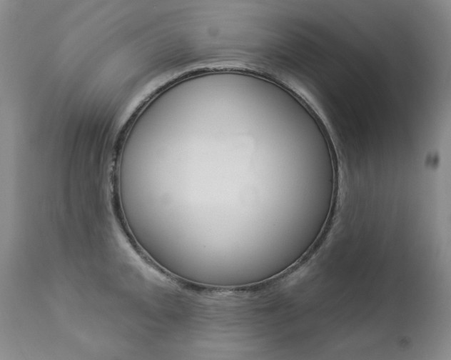 X0000112861093200908211049