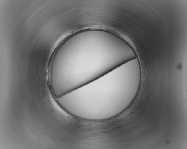 X0000112861095200908211049