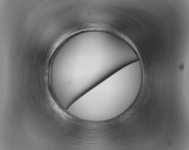 X0000112861099200908211049