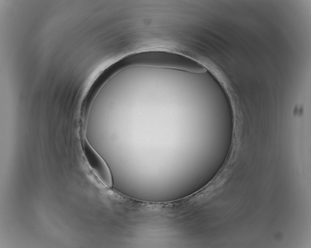 X0000112861104200908211049