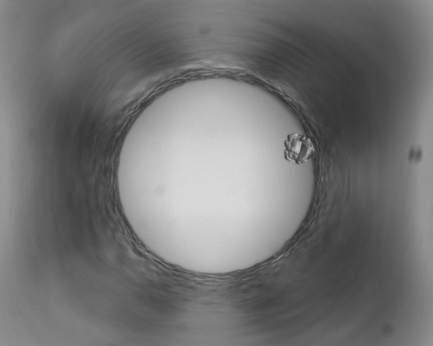 X0000112861110200908211048