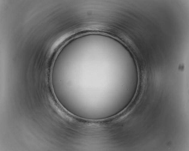 X0000112861114200908211048