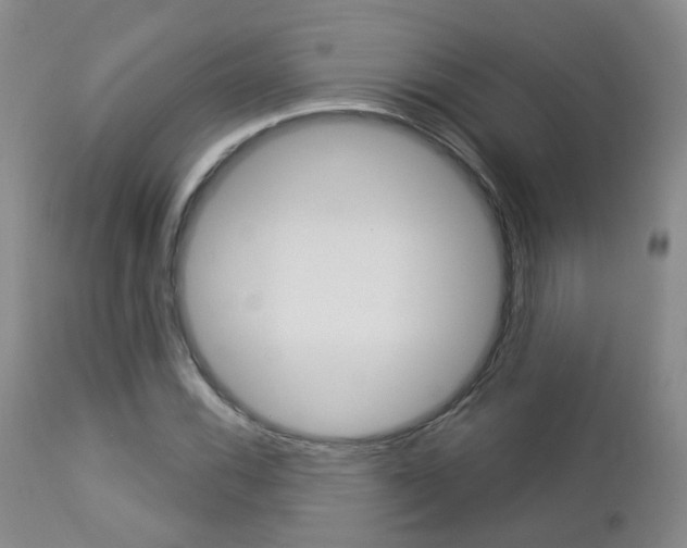 X0000112861116200908211048
