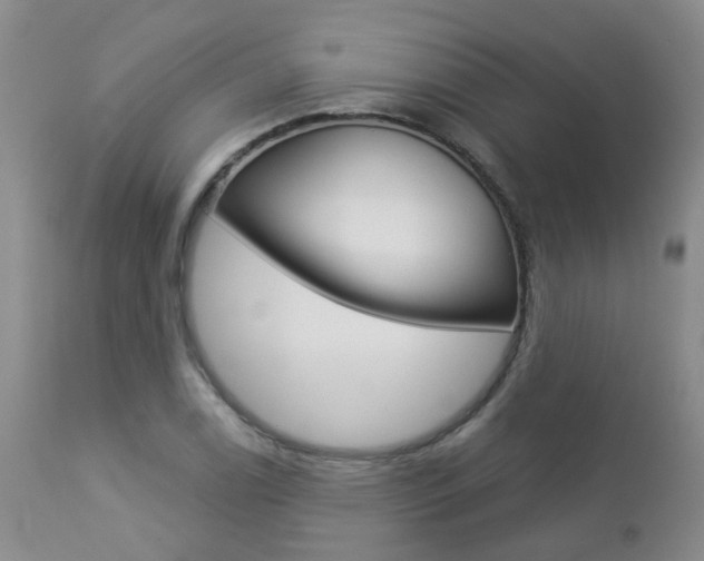 X0000112861122200908211049