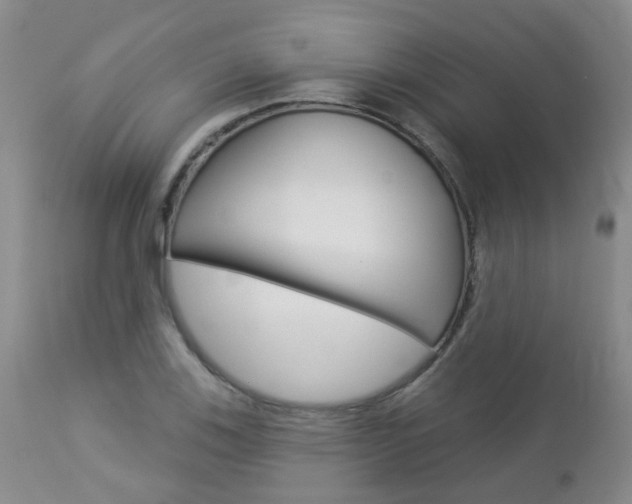 X0000112861123200908211049