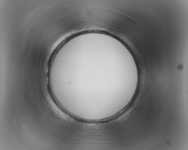 X0000112861126200908211049