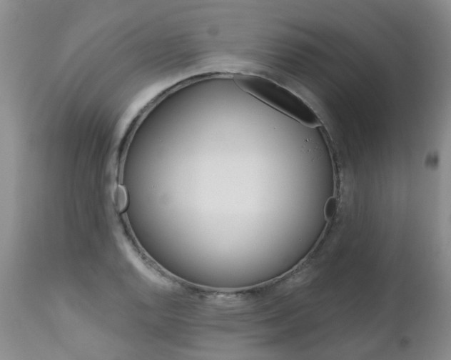 X0000112861128200908211049