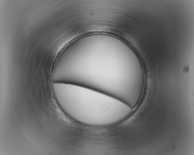 X0000112861129200908211049