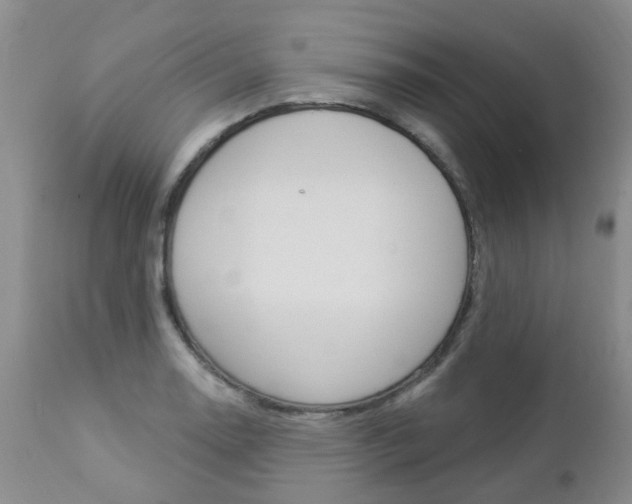 X0000112861130200908211049