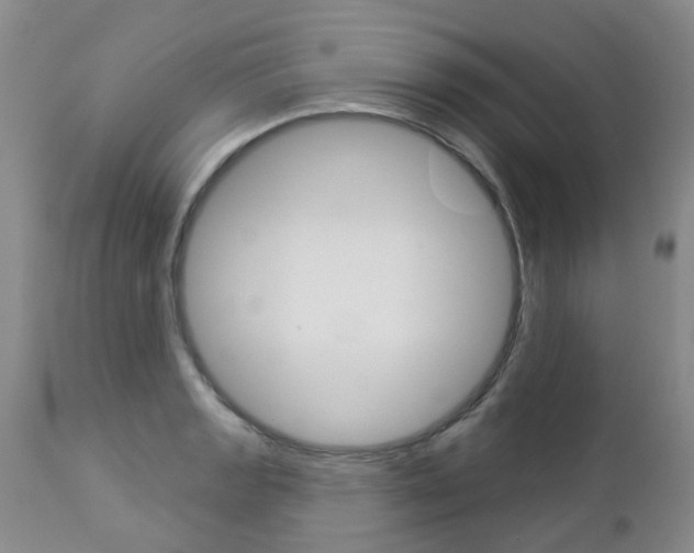 X0000112861133200908211049