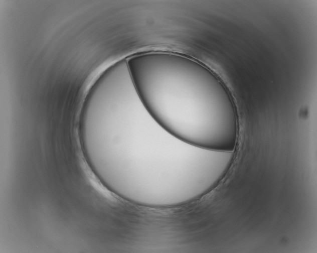 X0000112861136200908211049